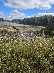 back to nature and off grid - Photo 3