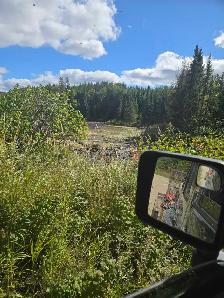 back to nature and off grid - Photo 4