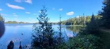 back to nature and off grid - Photo 8