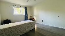 1 Large Bedroom 1 Parking  for rent near Bramalea City Cent - Photo 2