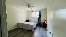 1 Large Bedroom 1 Parking  for rent near Bramalea City Cent - Photo 3