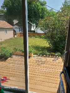 We are looking for new family member at well maintained house. - Photo 4