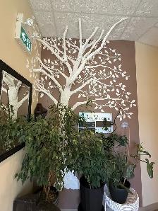 commercial space for rent