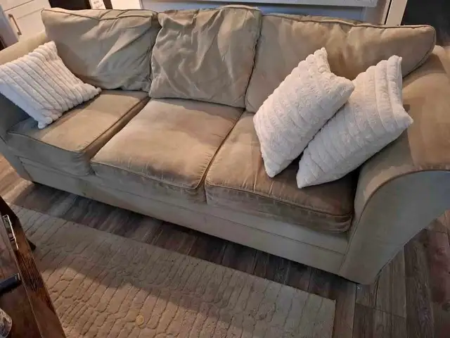 Free Pullout Couch bed