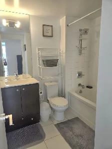 Furnished One Bedroom Suite w/ Walk-In Closet - 1 Year Minimum - Photo 6
