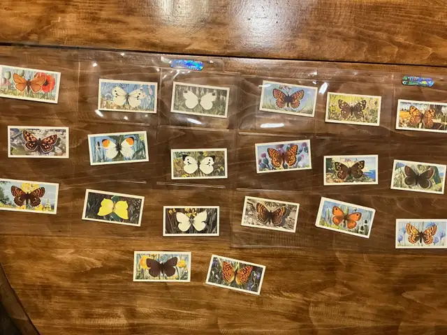 20. 1963 Brooke Bond Tea BRITISH BUTTERFLIES Cards !