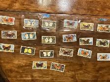 20. 1963 Brooke Bond Tea BRITISH BUTTERFLIES Cards !