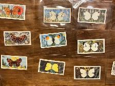 20. 1963 Brooke Bond Tea BRITISH BUTTERFLIES Cards ! - Photo 2