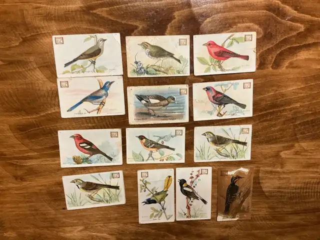 12. 1922 Church & Dwight USEFUL BIRDS OF AMERICA Cards !