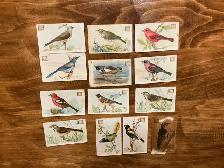 12. 1922 Church & Dwight USEFUL BIRDS OF AMERICA Cards !