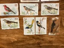 12. 1922 Church & Dwight USEFUL BIRDS OF AMERICA Cards ! - Photo 5