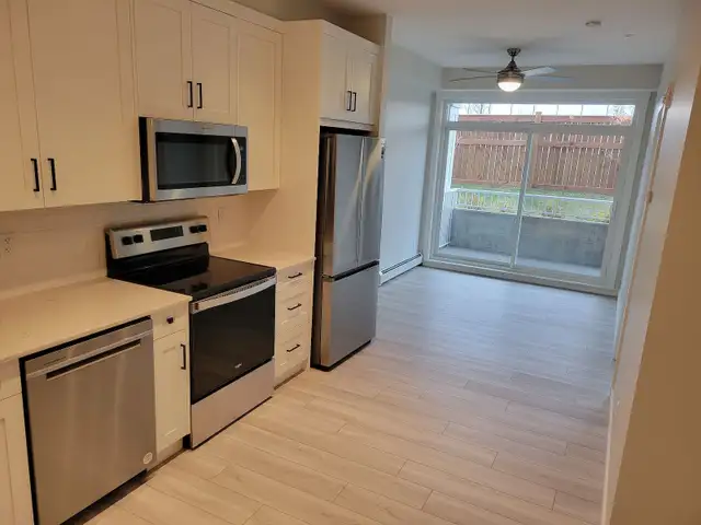 Luxury 1 bedroom condo for rent in Auburn Bay