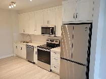 Luxury 1 bedroom condo for rent in Auburn Bay - Photo 2
