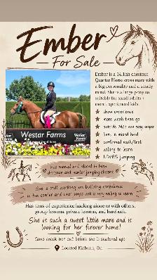9yr old Quarter Horse Mare - Chasing Embers