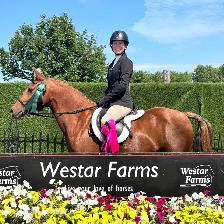9yr old Quarter Horse Mare - Chasing Embers - Photo 2