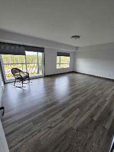 Top floor penthouse suite - Photo 8
