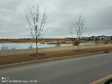 Newly Renovated 2-Bedroom Basement for Rent, Quiet Homestead, NE - Photo 9