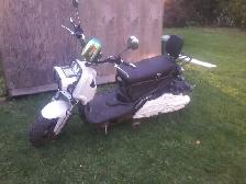 Daymak for sale
