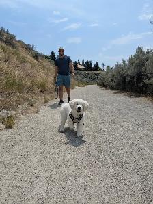 Health Tested CKC Purebred English Cream Golden Retrievers - Photo 4
