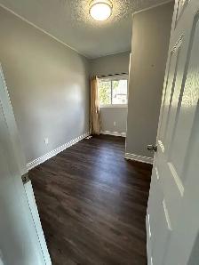 3 Bedroom Main Floor Apartment! - Photo 10