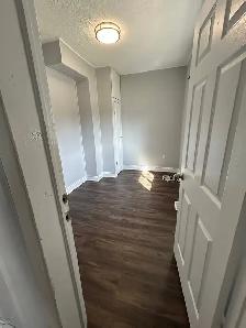 3 Bedroom Main Floor Apartment! - Photo 12