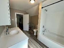 145 Pine Street - 4 bed, 1.5 bath STUDENT HOME  - 145 Pine St Ho - Photo 6