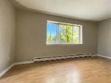 Spacious Bachelor Apartment in a Prime Location - Photo 10
