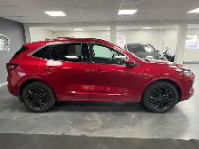 2023 Ford Escape ST-Line Elite AWD - Photo 5