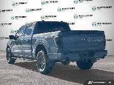 2023 Ford F-150 Tremor 4WD SuperCrew 5.5' Box - Photo 4