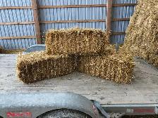 Small Square Straw Bales - Photo 2