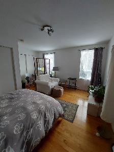 3 1/2 basse ville de Quebec - Photo 3