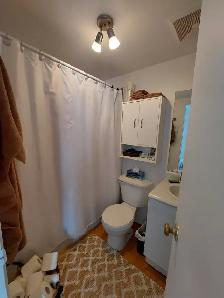 3 1/2 basse ville de Quebec - Photo 6