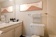 Sherbrooke Manor Apartments - Bachelor available at 329 Sherbroo - Photo 6