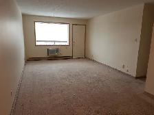 607 Leila Avenue - 2 Bedroom Apartment for Rent - Photo 6