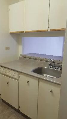 Chateau 100 - Spacious Bachelor for December - Photo 7
