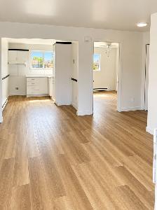 1 CH - 1 SDB - Saint-Césaire - $1,095 /mo