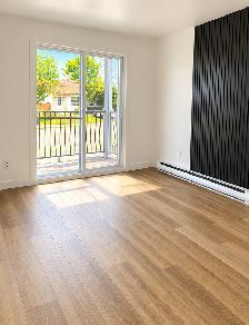 1 CH - 1 SDB - Saint-Césaire - $1,095 /mo - Photo 3