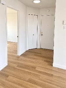 1 CH - 1 SDB - Saint-Césaire - $1,095 /mo - Photo 4