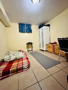Private room in the basement of a legal basement in Guelph
