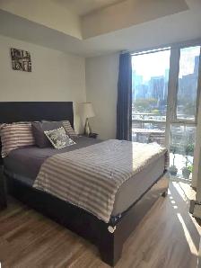 Furnished One Bedroom Suite w/ Walk-In Closet - 1 Year Minimum - Photo 2
