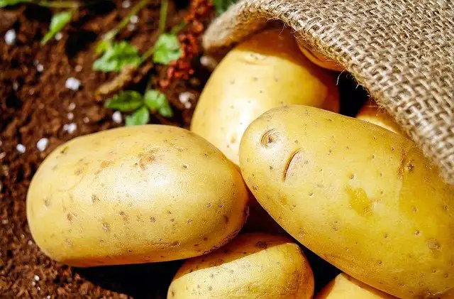 $22/hr  Farm Labourer Wanted