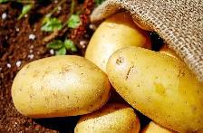 $22/hr  Farm Labourer Wanted