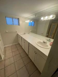 2 bedroom lower level apartment - Photo 5
