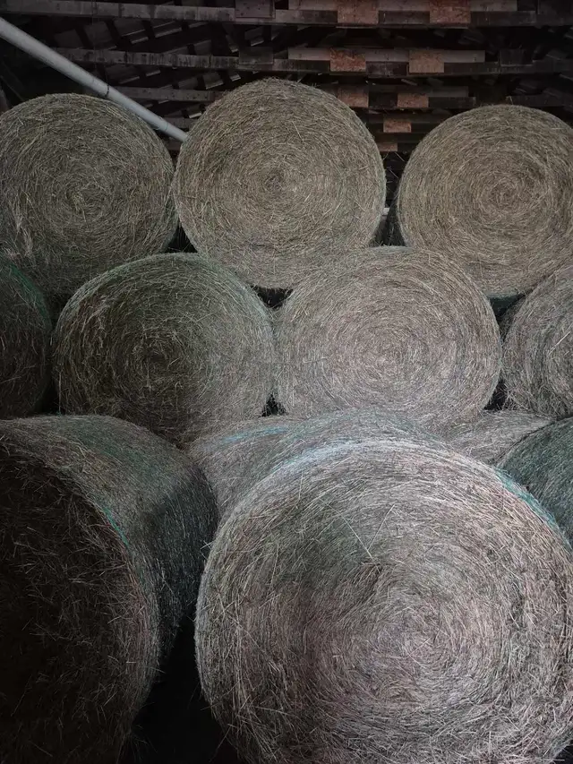hay for sale.