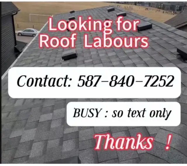 looking for roof labours