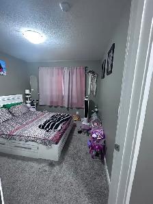 3 Bed 2 Bath Unit in Blackfalds, AB - Photo 6