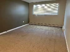 1 Bed 1 Bath Unit in Red Deer, AB - Photo 3