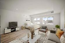 Spacious Studio In Garden City! Available November 1st! - Photo 2