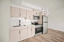 Spacious Studio In Garden City! Available November 1st! - Photo 3