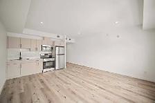 Spacious Studio In Garden City! Available November 1st! - Photo 8